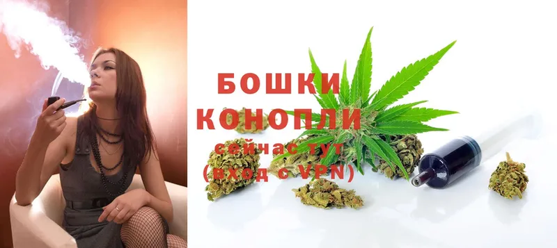 Бошки марихуана THC 21%  Балтийск 